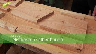 Anleitung: Nistkasten selber bauen