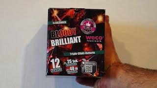 BLOODY BRILLIANT von LIDL | 4,99€ Weco Feuerwerk Batterie | PyroStop