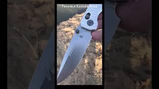 Tenable Eaglestrike Nitro-V/Aluminum #edc #edcknife #tools #outdoors #knife #shorts
