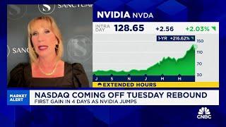 Sanctuary Wealth's Mary Ann Bartels on Nvidia: I have never seen a company like this before