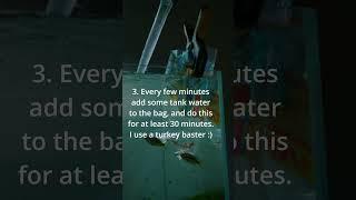How I acclimate new fish!