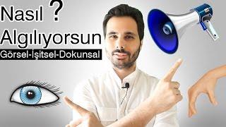 Nesin Sen ? Görsel misin ? İşitsel misin ? Dokunsal mısın ? - NLP-Kişisel Gelişim