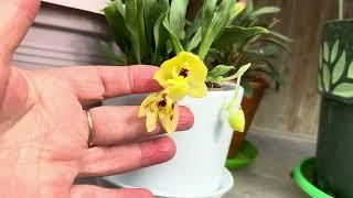 Як проходить день, з чого починається ранок