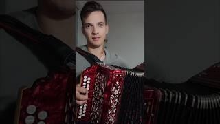 Шаньги с сёмгою жуём - По-северному #гармонь #частушка #песниподгармонь #наигрыши