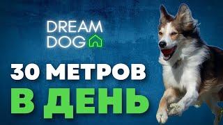 30 метров каждый день  Как правильно гулять с собакой на улице  Социализируем щенка на прогулке 