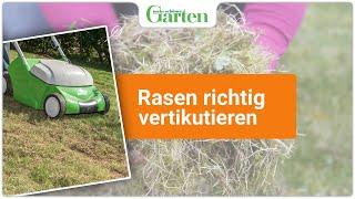 Gartentipp: Rasen vertikutieren - Anleitung für einen gesunden und schönen Rasen