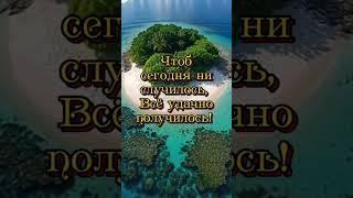 Доброе утро! Красивоепожелание#видео#красиваямузыка#shorts
