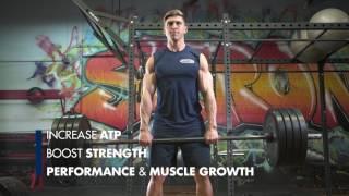 MuscleTech: CELL-TECH