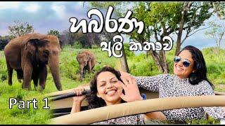 Trip to Habarana | Part 1 | Elephant Safari, Village Tour, and Boat Rides in Sri Lanka