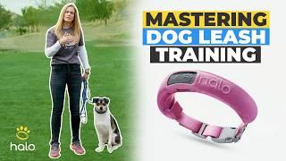 Dog Walker and Expert Trainer on Mastering Leash Training Bond and Control with Your Dog