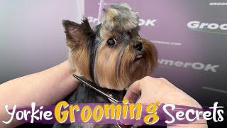 How to Groom a Yorkshire Terrier | Full Grooming Guide for a Perfect Haircut | Must-Know Techniques!