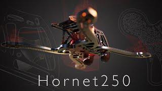 Mimic Hornet250 - Bioinspired Drone Frame