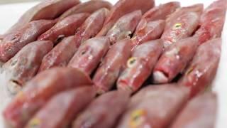 Poissons et produits frais au rayon marée de l’Hypermarché Auchan Mermoz