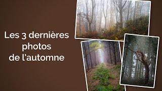 Les 3 dernières photos de l'automne