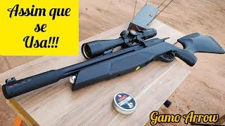 GAMO PRO MAGNUM PENETRATION 15,42 GRAINS E CARABINA GAMO ARROW CRONOGRAFAGEM E LUNETA WHEST HUNTER