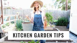 Tips To Start + Grow A Kitchen Garden | DIY, Lifestyle, Gardening | Healthy Grocery Girl YouTube