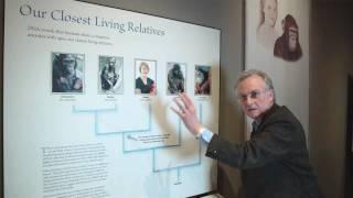 Richard Dawkins: Why are there still Chimpanzees? - Nebraska Vignettes #2