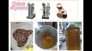 hydraulic oil presser cold walnut oil press machine sesame oil processing oil making machine