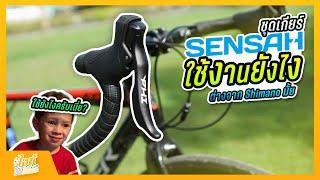 เกียร์เสือหมอบ Sensah ใช้งานยังไง? จะสู้ Shimano หรือเปล่า : นิวบี้หัดปั่น ตอนที่ 14