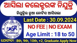 Odisha Collector Office New Recruitment 2024//Latest Govt Jobs 2024 Odisha//Odisha Job Vacancy 2024