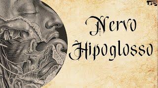 Nervo Hipoglosso | Prof. Eduardo Beber - Anatomia/UFES