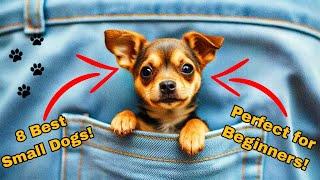 8 best Small Dog Breeds You’ll Love!"