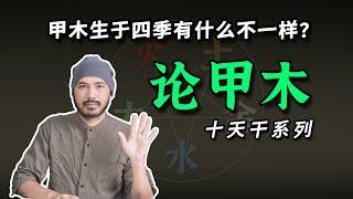 十天干要義！論甲木！作為十天干之首，甲木生於四季有什麼不一樣？【柏喬易學】