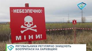 Розмінування Харківщини: ДСНСники показали унікальну техніку