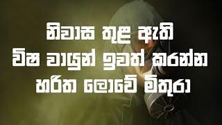 මේ පැලයක් ඔබත් නිවස තුළ තබා ගත්තොත් ඔබට අදහාගත නොහැකි ප්‍රතිලාභ රැසක් ලැබේවි | Haritha lokaya