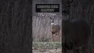 How many Missouri deer? #deerhunting #missouri #shorts #nature #animals