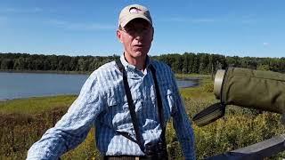 Waterfowl Hotspot Field Trip at Sandy Ridge Reservation