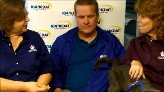 Squirrel Is KDAT's Featured Animal On The Pet Project For October 2, 2014