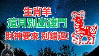 生肖羊，乙亥月到！11月7日～12月5日，这个月财神降臨，请不要出远门，别错过爆發機會！ #2024年生肖羊運勢 #2024年生肖羊運程 #2024年屬羊運勢 #屬羊運程