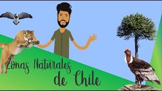 LAS ZONAS NATURALES DE CHILE | 5to Básico - Sala de Historia