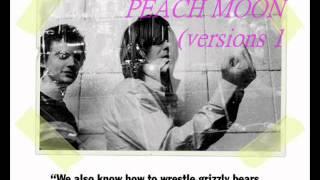 The Unicorns - Peach Moon (versions 1 + 2)