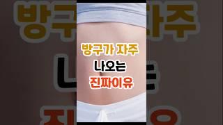 방구가 자주나오나요?#장건강#방귀원인#장내가스