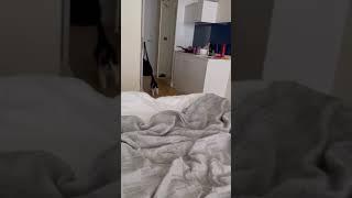 🫣#cat #cats #funny #funnycats #funnycats #fun #funnyvideo