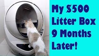 My $500 Litter Box 9 Months Later: An Update on Life with the Litter-Robot 3 Connect!