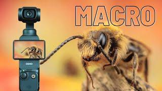 DJI pocket 3 macro lens from Freewell, is it any good?