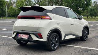 BYD Dolphin Surf 2025