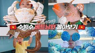  베트남 충격적인 수산물 2