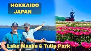 BEAUTIFUL LAKES OF AKAN NATIONAL PARK IN HOKKAIDO, JAPAN (AKAN, MASHU, SHIBAZAKURA, TULIP PARK) 4K