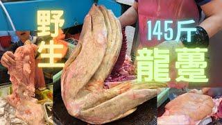 145斤極肥野生龍躉怪獸級,巨肥肝/肉質鬆化，油脂超香Monster Giant Grouper cutting skills fishcutting海鮮~社長遊街市Seafood