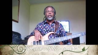 Using an Alembic Series II Bass 7 of 8