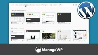 Manage All Your WordPress Websites From One Place