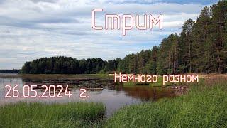 Немного о разном. Panasonic Lumix S9. Смотрим: выбор камеры и объектива. Стрим 26.05.2024