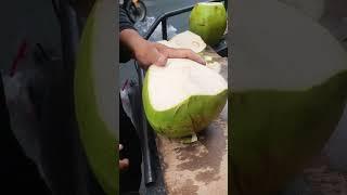Cutting Coconut With A Master Chef: The Art of Culinary Precision