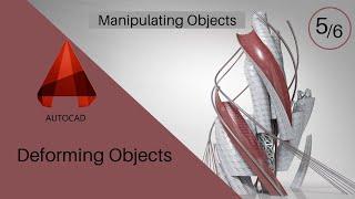 Deforming Objects| Learn AutoCAD (Manipulating Objects - 1of 6)