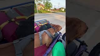 По дорогам Камбоджи: Откройте для себя невероятное богатство этой удивительной страны