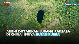 Aneh! Ditemukan Lubang Raksasa di China, Isinya Hutan Purba